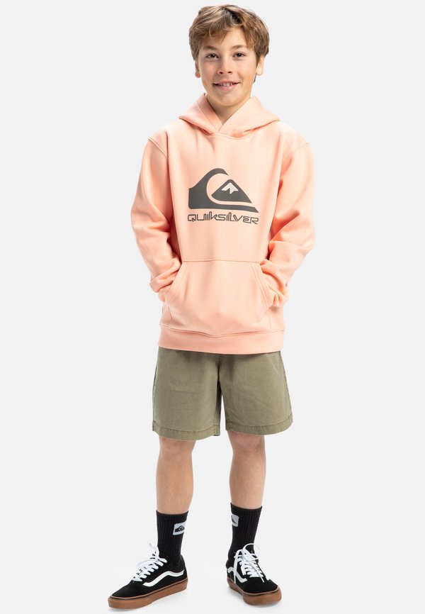 BIG LOGO YOUTH UNISEX - Kapuzenpullover