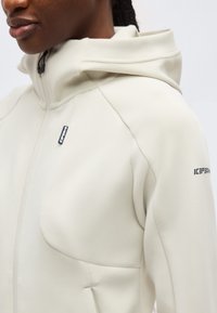 Detailní pohled na osobu nosící světle béžovou mikinu s kapucí na zip, s černými logy "Icepeak" na hrudi a rukávu.