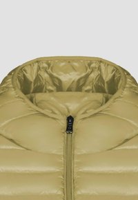 Giacca imbottita beige con collo e parte superiore del torace, dotata di una cerniera nera centrale, che mostra cuciture a trapunta e una superficie in tessuto lucido.