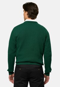U.S. Polo Assn. MADS - Trui - rain forest
