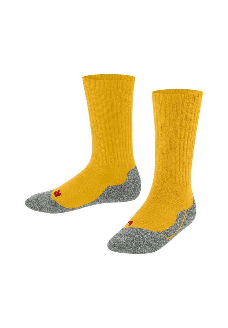 FALKE ACTIVE WARM  - Calze sportive - bee