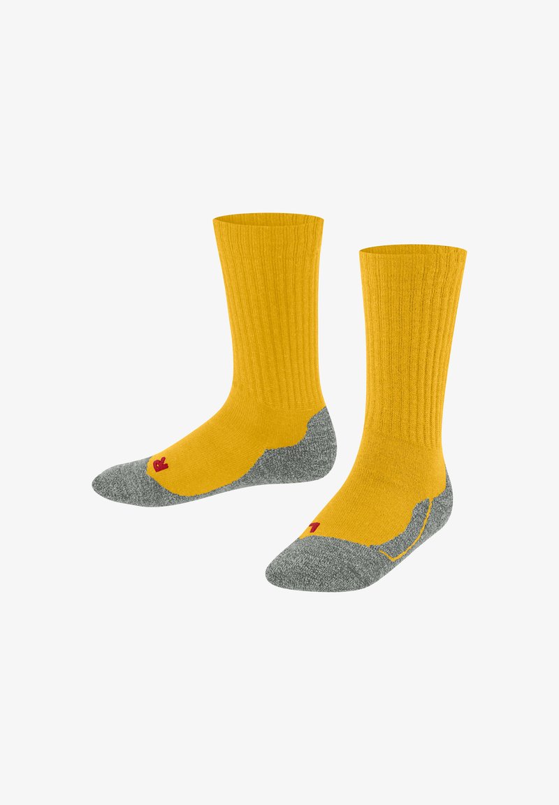 FALKE ACTIVE WARM - Calze sportive - bee