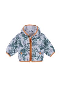 Chicco OUTERWEAR WINDPROOF HOODED - Allvädersjacka - green