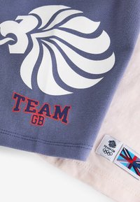 Grau T-Shirt mit einem weißen Löwen-Graphic, rotem "TEAM GB"-Text und einem Stoffetikett mit Union Jack und Logo, das am Saum gestickt ist.