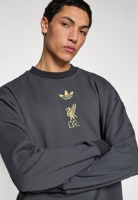 Bluză gri cu guler rotund cu caneluri, având logo-ul Adidas auriu și emblema Liverpool FC în centru. Textură moale, croi casual.