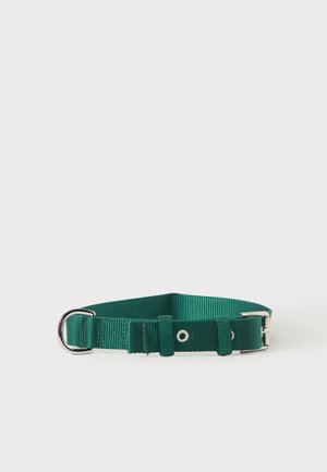 Collier pour chien en nylon vert réglable avec boucle métallique et anneau en D sur un fond uni clair.