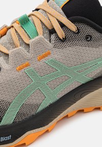 ASICS GEL-TRABUCO 12 - Chaussures de running - feather grey/dark mint