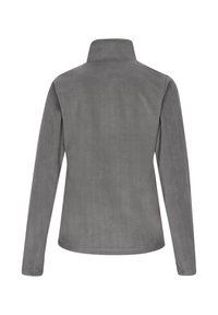 Grijze fleece jack, een niet-bijzonder achterkant, hoge kraag, lange mouwen, zachte textuur, geen zichtbare hardware of patronen.