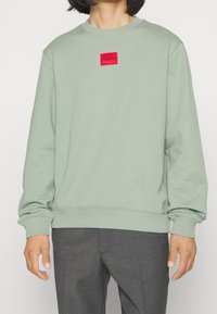 Felpa verde chiaro realizzata in tessuto morbido, con collo a giro e polsini a coste, e una patch rettangolare rossa con logo sul petto.