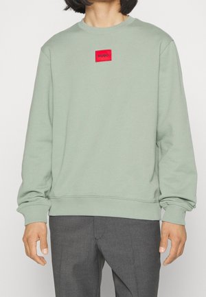 Felpa verde chiaro realizzata in tessuto morbido, con collo a giro e polsini a coste, e una patch rettangolare rossa con logo sul petto.