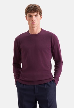 Jonge man met kort krullend haar, die een donkerpaarse trui met lange mouwen en marineblauwe broek draagt, staat met handen in de zakken.