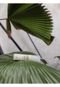 Tube de crème solaire étiqueté "Susanne Kaufmann SPF 50" posé sur de grandes feuilles de palmier vertes avec un arrière-plan lumineux flou.