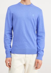 Pull bleu clair à col rond en tricot doux, avec poignets et ourlet côtelés, et une petite étiquette logo sur la poitrine.