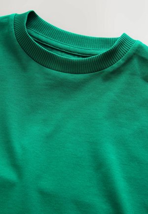 Roheline puuvillane T-särk soonikkoelise ümara kaelusega, sileda tekstuuriga ja ühevärviline ilma mustrite või aktsentideta.