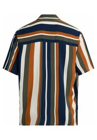 Kortärmad skjorta med vertikala och horisontella ränder i marinblått, rostorange, olivgrönt och vitt, sedd bakifrån.