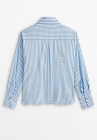 Camicia a maniche lunghe a quadri blu chiaro e bianca con una piega sul retro e polsini arricciati, con bottoni decorativi sulle maniche.
