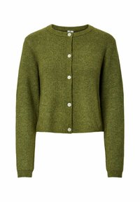 Unausgewählt, sphagnum