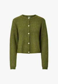 Unausgewählt, sphagnum