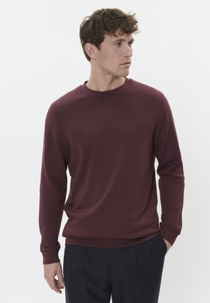 HARRY CREW - Sweatshirt - decadent chocolate