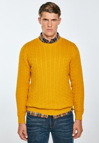 Maglione giallo senape a punto treccia con collo rotondo, polsini e vita a costine, indossato sopra una camicia di flanella a quadri. Pantaloni in denim scuri.