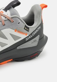 Salomon ELIXIR ACTIV GTX - Fjellsko - grey/phantom/dragon fire