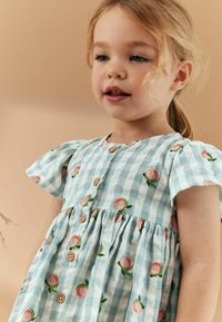 Next REGULAR FIT - Denní šaty - blue apricot gingham