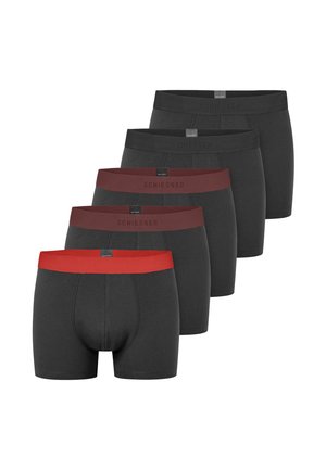 5 PACK  - Trunks - sortiert