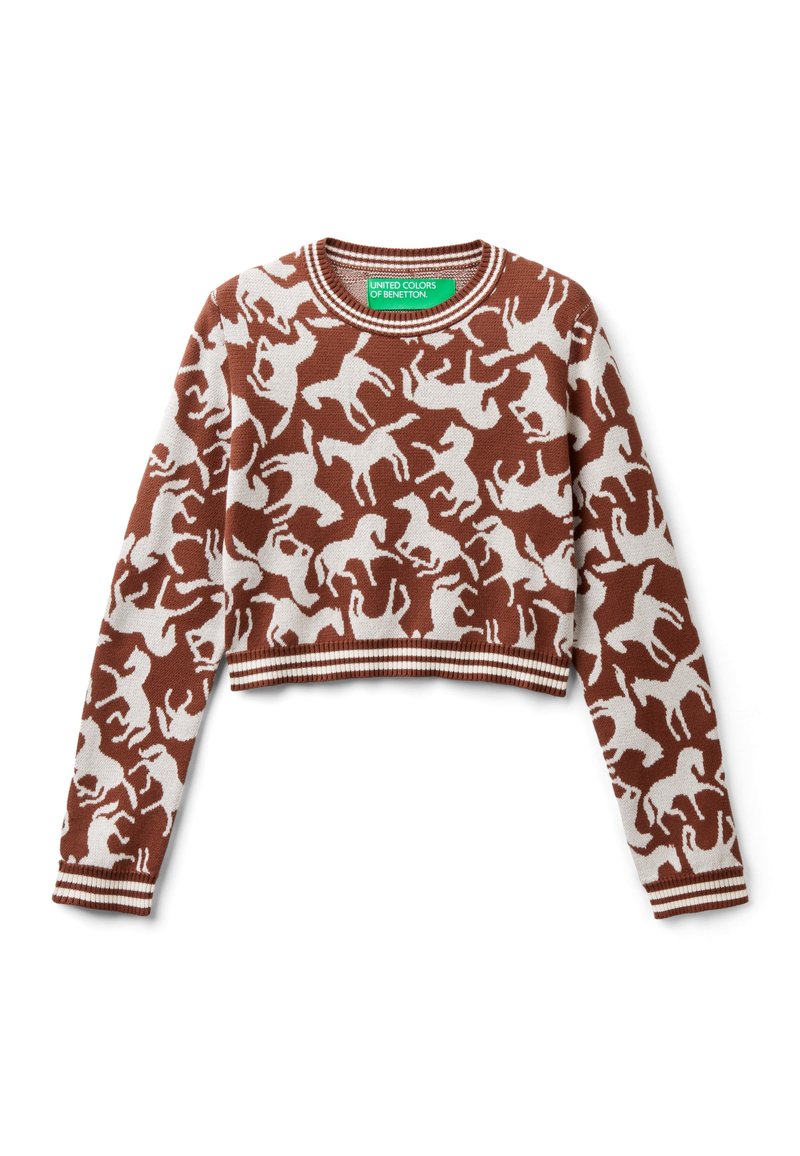 United Colors of Benetton Trui bruin