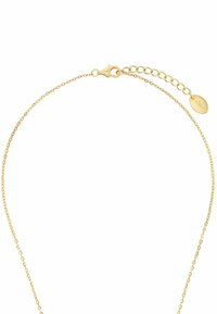 Collar de metal dorado con una cadena delicada, que presenta un cierre de langosta y una longitud ajustable con una pequeña etiqueta de logo.