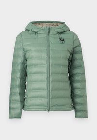 Δεν επιλέχθηκε, green/grey