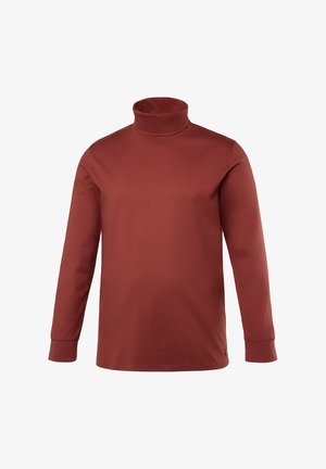 T-shirt à col roulé à manches longues de couleur rouille, fabriquée en tissu doux avec une texture lisse. Présente un col haut et des manches ajustées.