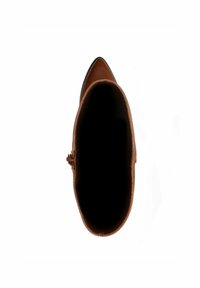 Brown leather ankle boot with a pointed toe, smooth texture, and zipper detail on the side; interior is dark with no visible lining.