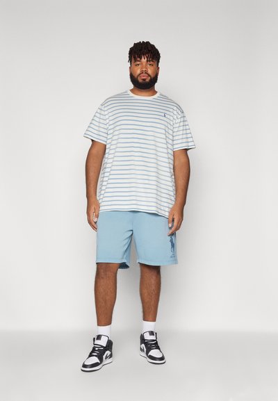 Polo Ralph Lauren Big & Tall STRIPED JERSEY CREWNECK T-SHIRT - Triko s potiskem - nevis/vessel blue