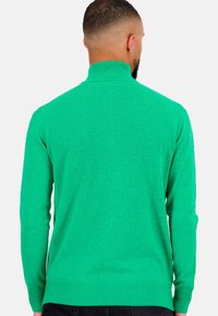 Grüner Strickpullover mit hochgeschlossenem Kragen, langen Ärmeln sowie gerippten Bündchen und Saum. Der Stoff wirkt weich und strukturiert.