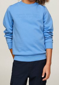Lichtblauwe sweatshirt met ribbels aan de boorden en onderkant, voorzien van geperste "HILFIGER" tekst aan de voorkant. Zachte stof, losse pasvorm.