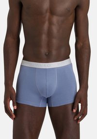 Hanro RETRO 2 PACK ESSENTIALS - Boxerkalsong - labradorblue/moss