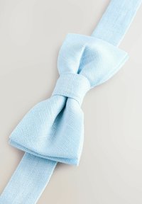 Papion bleu deschis dintr-un material texturat, cu un nod centrat și capete plate, potrivit pentru ținută formală.