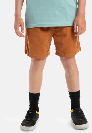 Quiksilver TAXER YOUTH - Short - bran