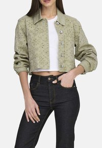 Veste en denim vert clair, courte, avec broderie, fermeture à boutons et deux poches avant. Portée par-dessus un haut blanc et associée à un jean foncé.