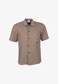 Sélectionné, taupe