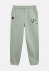 DISLOGO SPRING HERITAGE UNISEX - Παντελόνι φόρμας - green