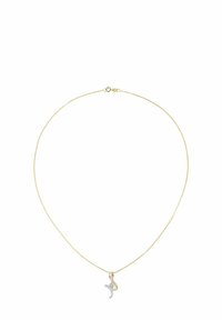 Kullast kaelakee õhukese kettaga ja detailselt töödeldud hõbedast ripats kõvera, madu sarnase kujuga, kaunistatud väikeste vääriskividega.