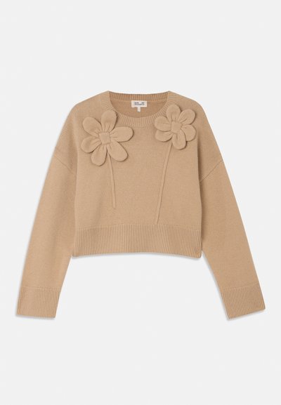 Pulover beige scurt cu mâneci lungi, având două aplicații proeminente din flori din fetru. Textură tricotată moale cu tiv și manșete ribbed.