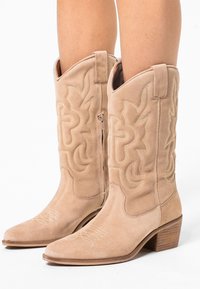 Stivali da cowboy in suede beige con punte appuntite, cuciture decorative e tacco basso impilato, caratterizzati da motivi ricamati lungo i lati.