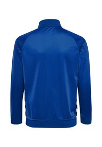 Blå polyester träningsjacka med hög krage, ribbade manschetter och vita ränder längs sidan. Slät struktur, atletisk design.