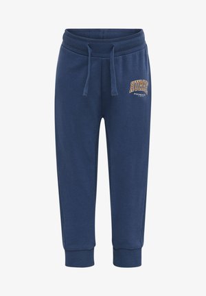 FAST APPLE - Tracksuit bottoms - sargasso sea