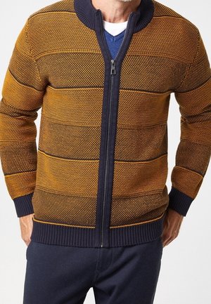 Man draagt een gebreide trui met mosterdgele en donkerblauwe strepen en een rits, over een blauw V-halsshirt en donkere broek.
