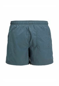 Jack & Jones JPSTNAXOS VESTERBRO - Kopalne hlače - stormy weather