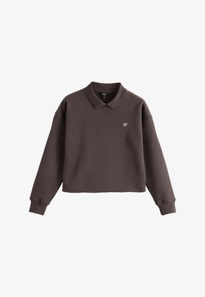 Pruun, pikka varrukaga lühike dressipluus kraega ja vasakul rinnal väikese tikitud liblikalogo.