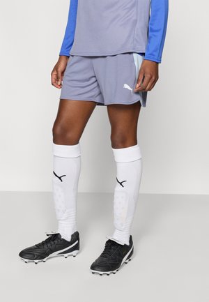 INDIVIDUALBLAZE SHORTS - Korte sportsbukser - gray sky/white/royal sapphire